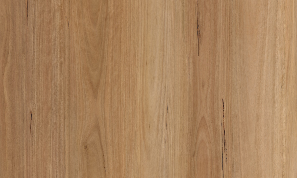 Stepright SPC flooring colour 805
